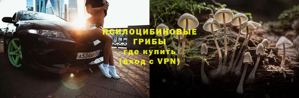 прущая мука Каменногорск