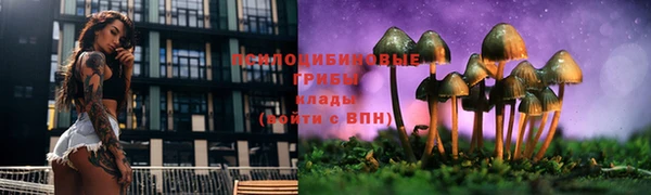 прущая мука Каменногорск