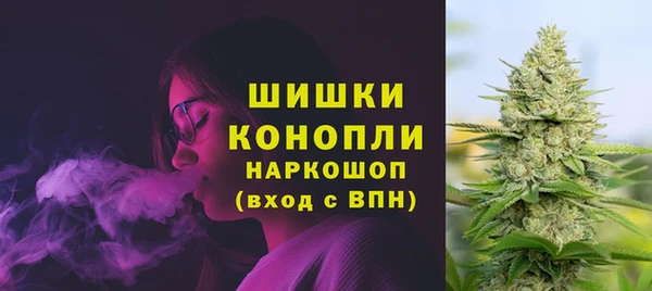 прущая мука Каменка