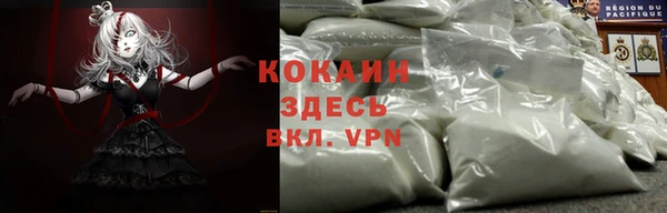 прущая мука Каменногорск