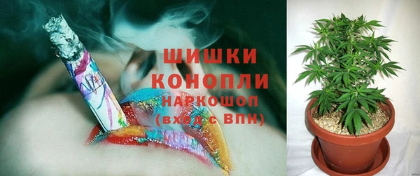 прущая мука Каменногорск
