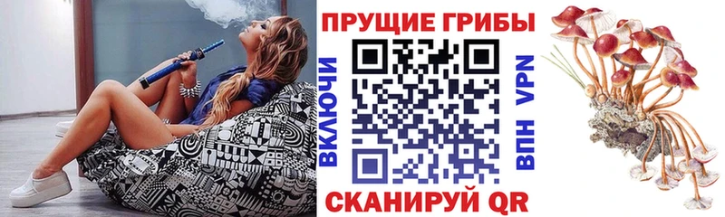 продажа наркотиков  Наро-Фоминск  Псилоцибиновые грибы MAGIC MUSHROOMS 