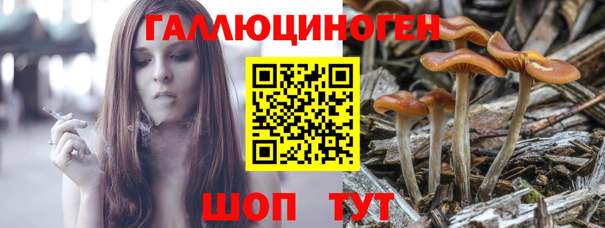 Галлюциногенные грибы мицелий Наро-Фоминск