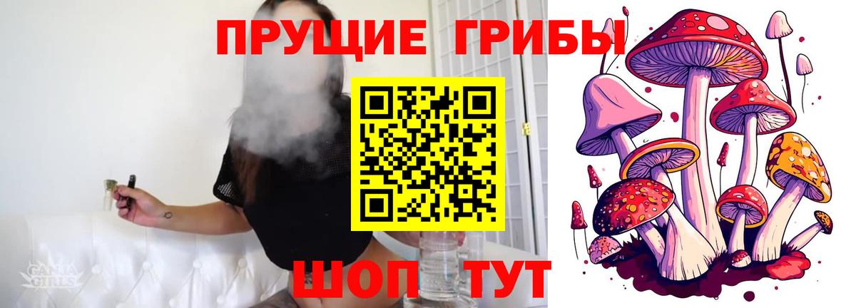 Псилоцибиновые грибы Psilocybe  хочу наркоту  Наро-Фоминск  Вход с VPN 